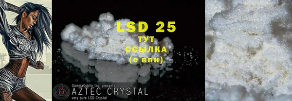 прущие грибы Покровск