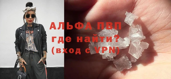 прущие грибы Покровск