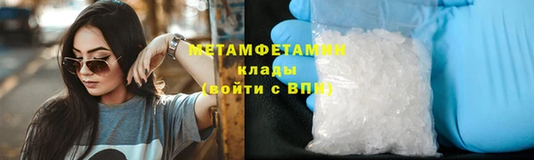 прущие грибы Покровск