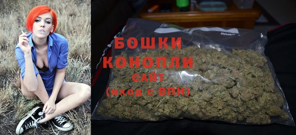 spice Покачи