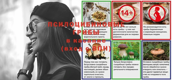 прущие грибы Покровск