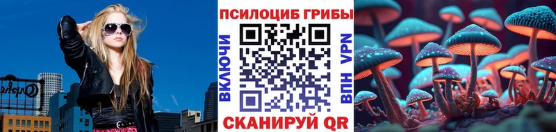Псилоцибиновые грибы Psilocybe  Купить закладки  Кодинск 